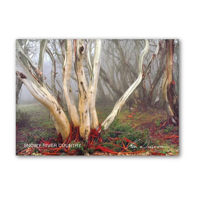 Snowy River Country Tea Towel