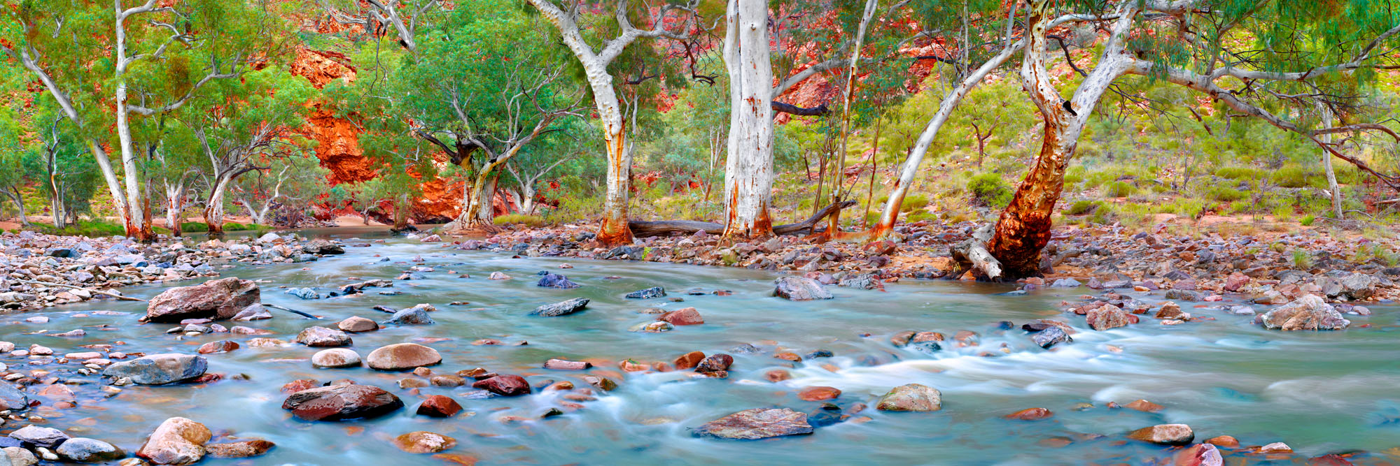 Outback Renaissance by Ken Duncan