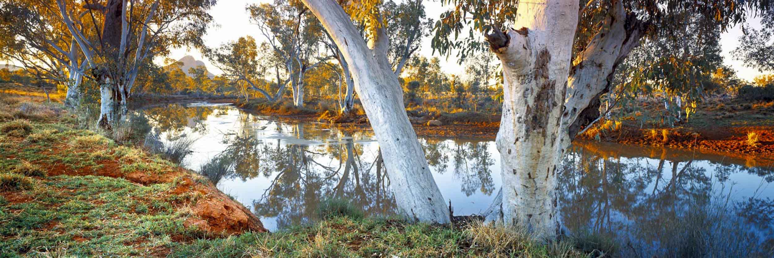Outback Oasis by Ken Duncan