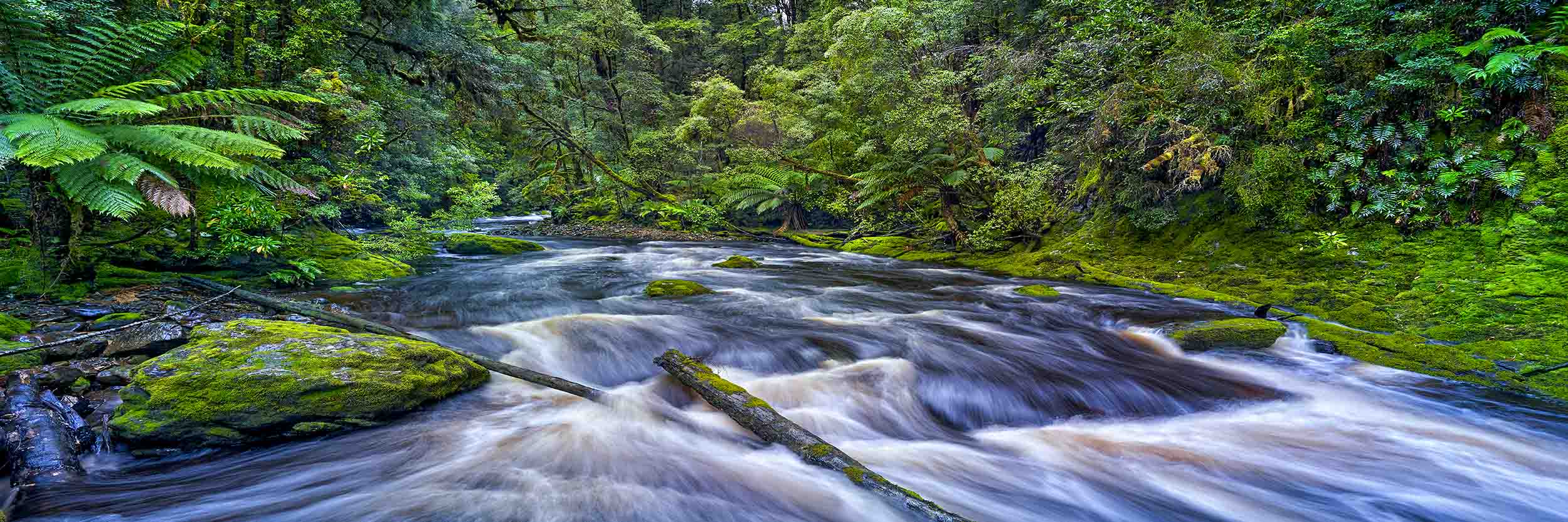 Bird River, Tas