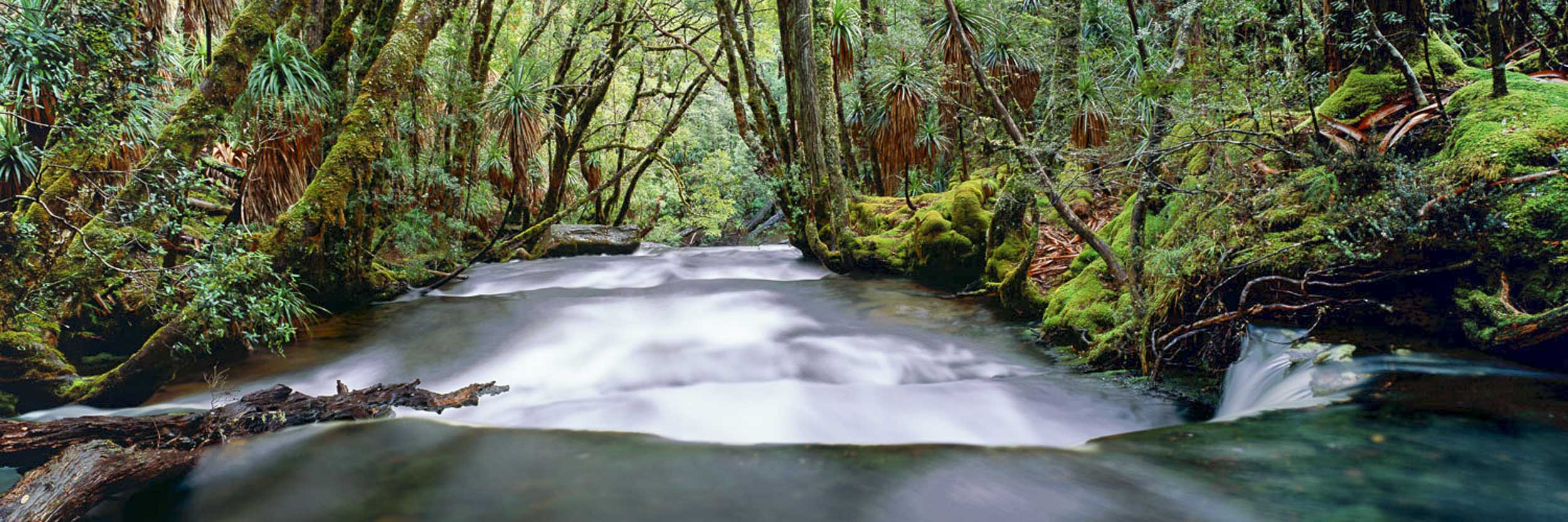 Living Waters, TAS
