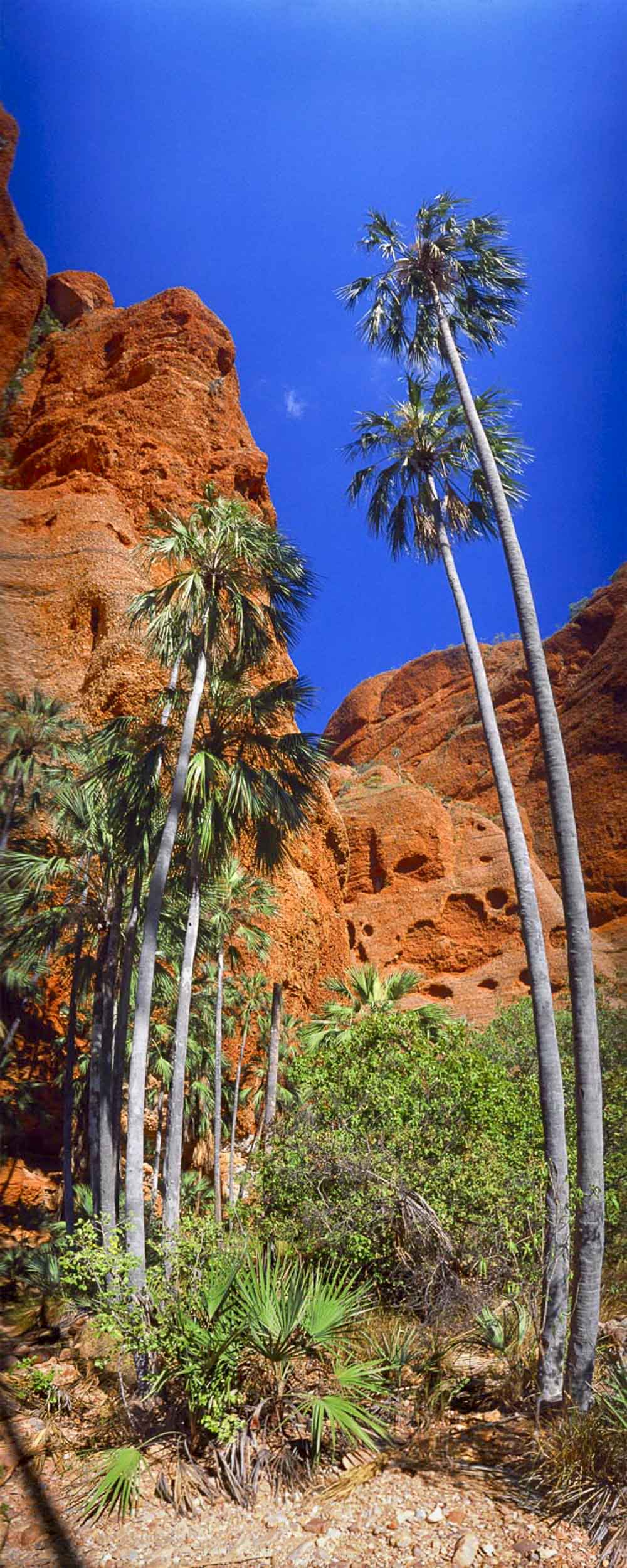 Echidna Chasm, WA